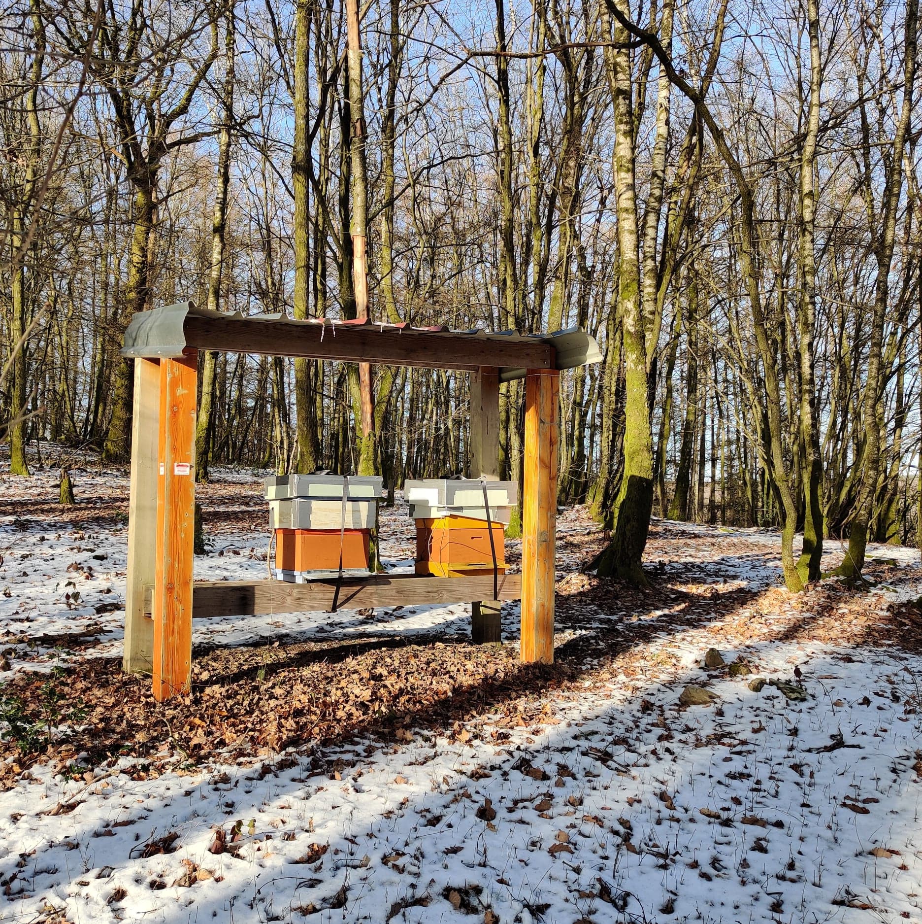 Kasten in de sneeuw